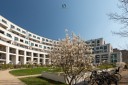 Familienfreundliche & sonnige Terrassenwohnung mit Weitblick ber Berlin - Berlin