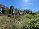Ihr Platz zum Trumen: Grozgiges Baugrundstck in bester Lage von Mahlsdorf - Berlin